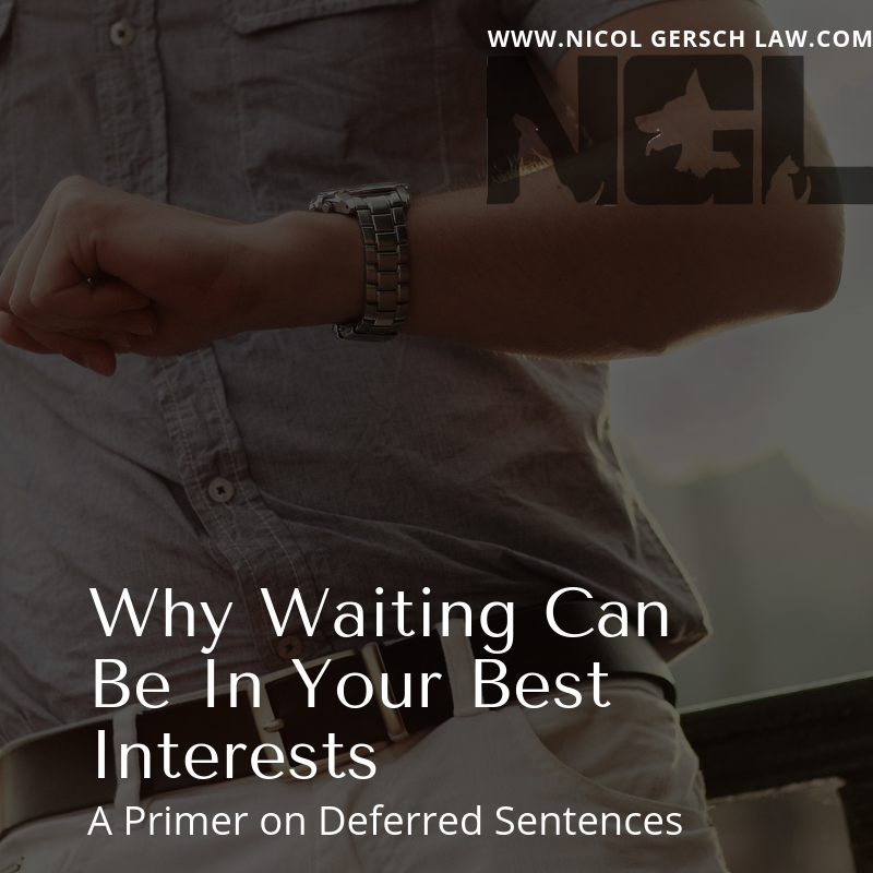 Man Looking at Watch; Timing; Probation; Why Waiting Can Be In Your Best Interests; A Primer on Deferred Sentences; Deferred Judgment
