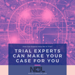 Expert Witness; Trial Experts Can Make Your Case For You; Nicol Gersch Law Blog; Brain Circuitry Picture