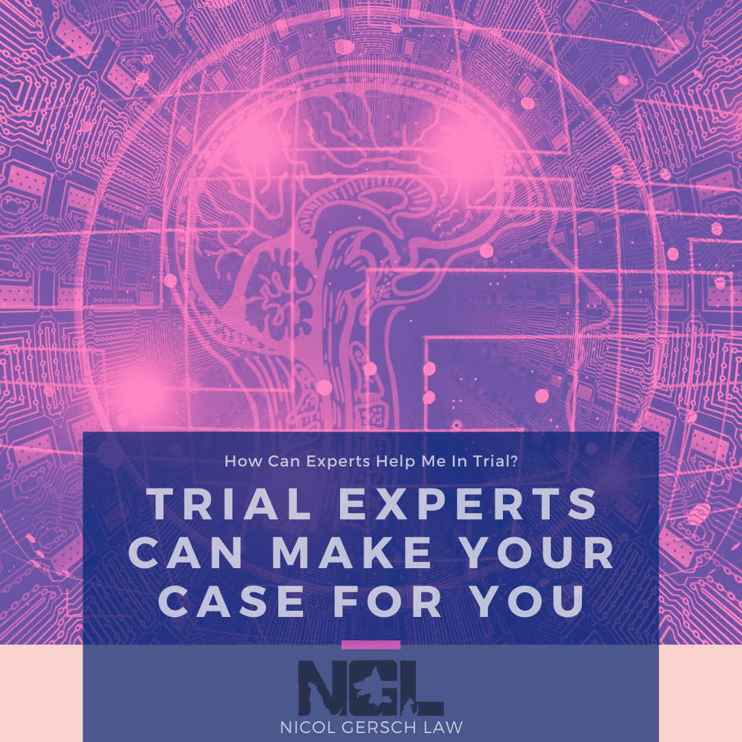 Expert Witness; Trial Experts Can Make Your Case For You; Colorado Lawyer Team Blog; Brain Circuitry Picture