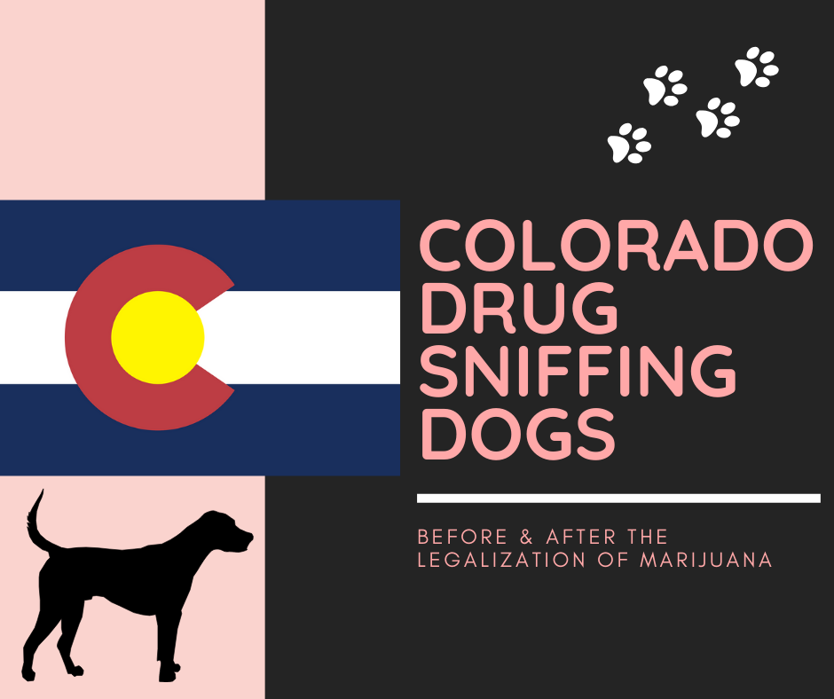 05.19.20 Colorado Drug Sniffing Dogs